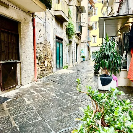 Vesuvius House Neapol